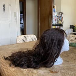 Human Hair Wig - Brand New, Lace Front Intact