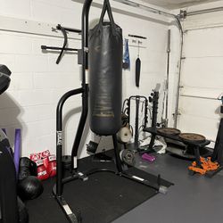 Everlast Heavy Bag, Powder Coated Steel Stand, And Attachable Speed Bag