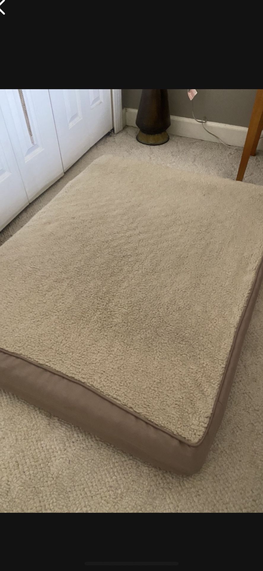 DOG BED