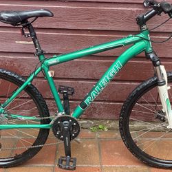 Size 18(Lg) Raleigh Mojave 4.0 mountain bike, Gorgeous Color, From REI, $500 + New, $220 FIRM.