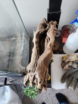 Snake Encloser