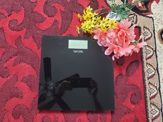 Taylor Digital Scale