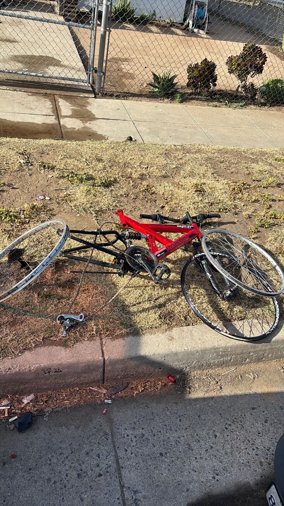 Bike and rims