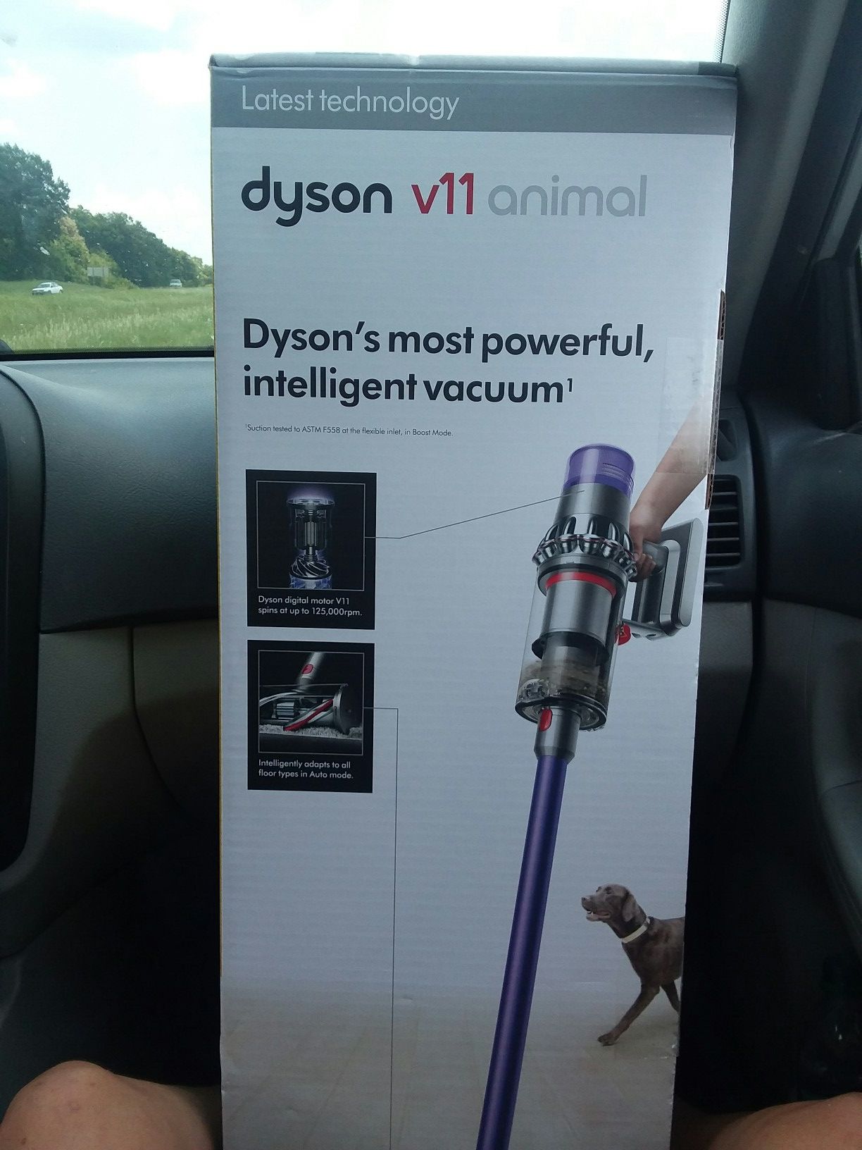 Dyson V11 Animal