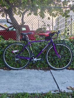 Bianchi advantage restomod bike