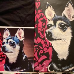 Pet Portraits 