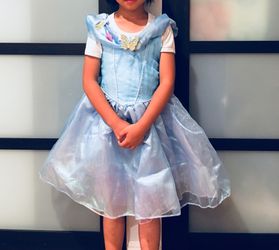 Cinderella Halloween Costume