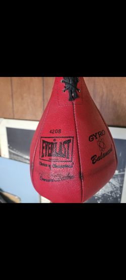 Speed Bag With Wall Mount
