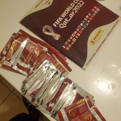 Panini Qatar 22
