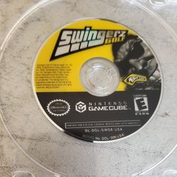 Nintendo Gamecube Video Game Swingerz Golf