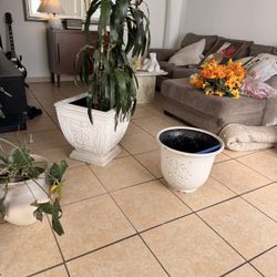 Two Large White Planters