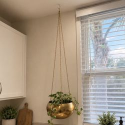 Hanging Metal Gold Plant Hanger 
