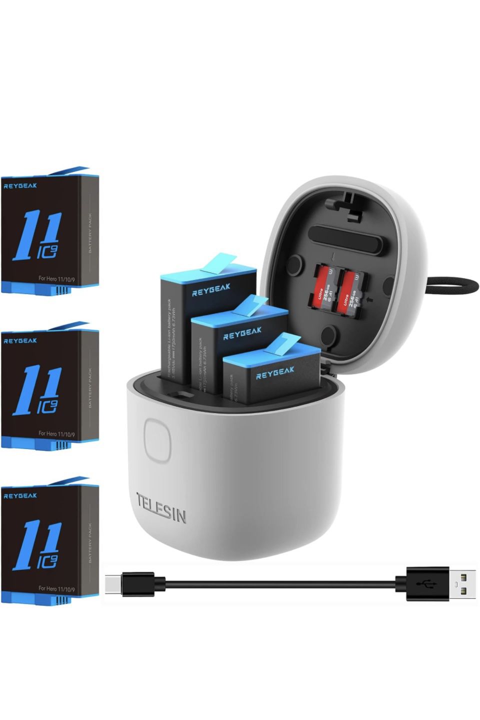 GoPro Hero 12/11/10/9 Charger Case With Batteries (3 Batteries) REYGEAK AllinBox