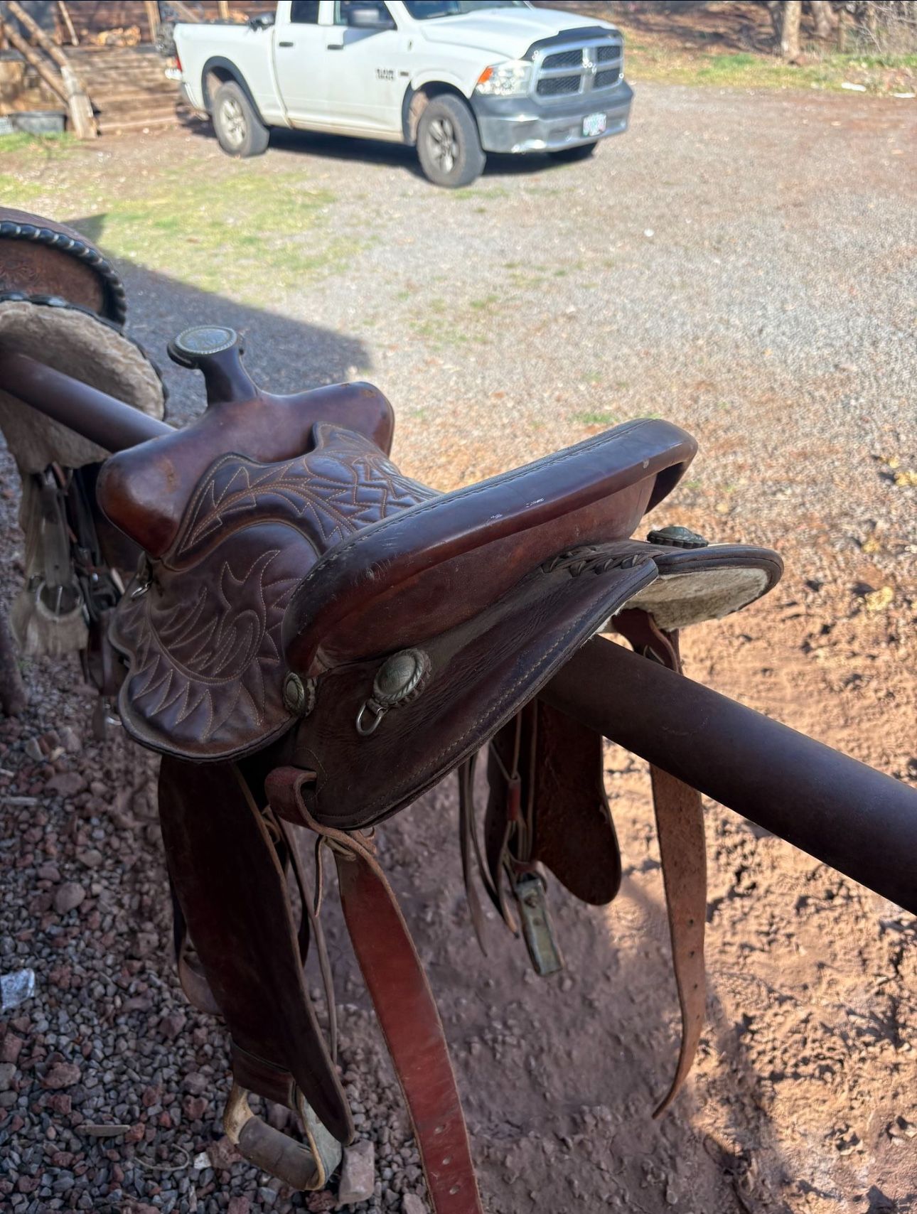 Saddle