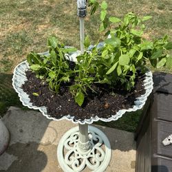 Hand Made bird bath repurposed as a planter