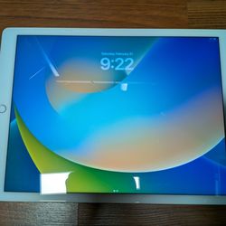 iPad Pro 12.9 inch screen 1st gen