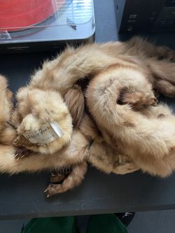 Real Fox Scarf