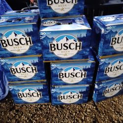 Busch 30 Pack 