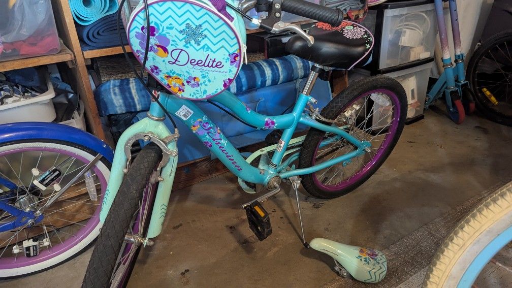 Schwinn Deelite 20 Kid's Bike Mint Gree