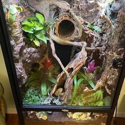authentic reptile tank(check description)