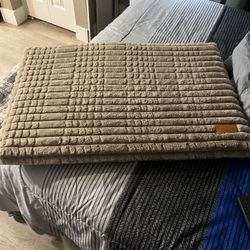 Great Deal Great Condition Beige Jessica Simpson Dog 🐕 Bed 🛌 