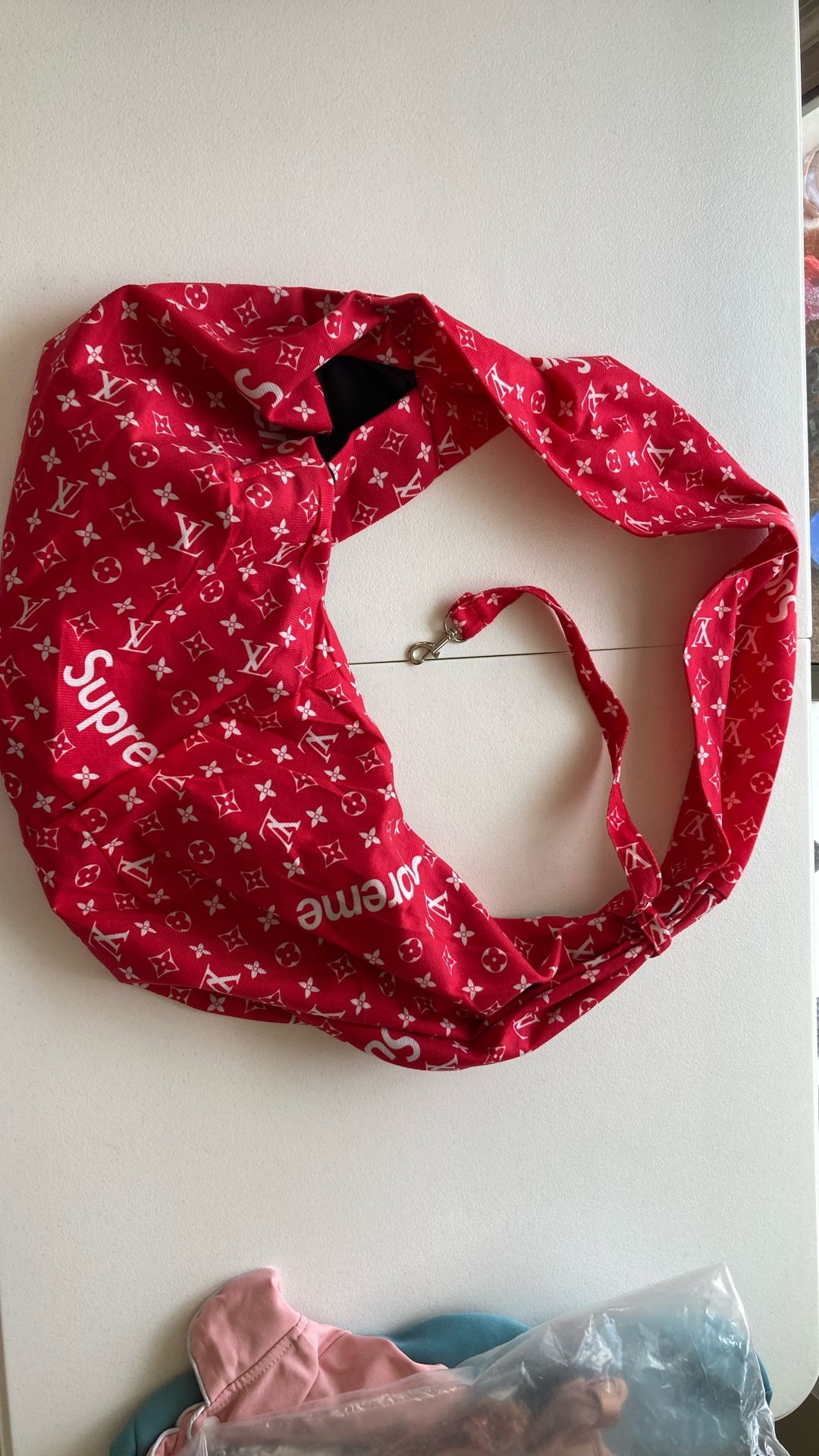 Small Dog Carrier