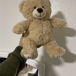 Teddy Bear 