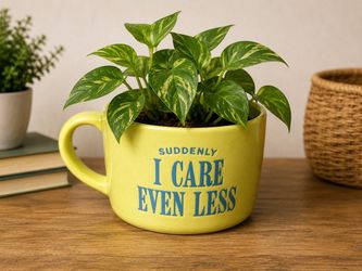 Petty Little Coffee Mug/Planter