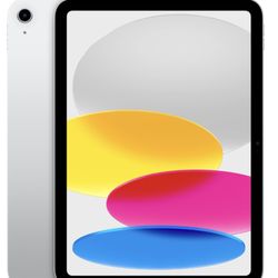 iPad 