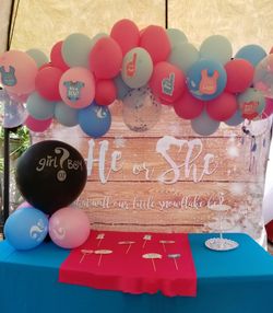 Baby reveal gender decor