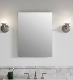 Series 20 in. W x 26 in. H Rectangular Aluminum Cabinet with Mirror Interior