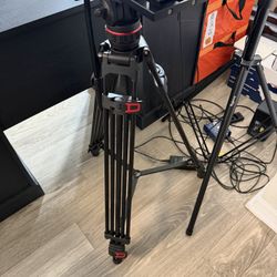 NEEWER Trípode de video de 74" con cabezal de fluido de amortiguación ajustable, placa