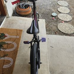 Kinds TREK  Precaliber 20 Bike