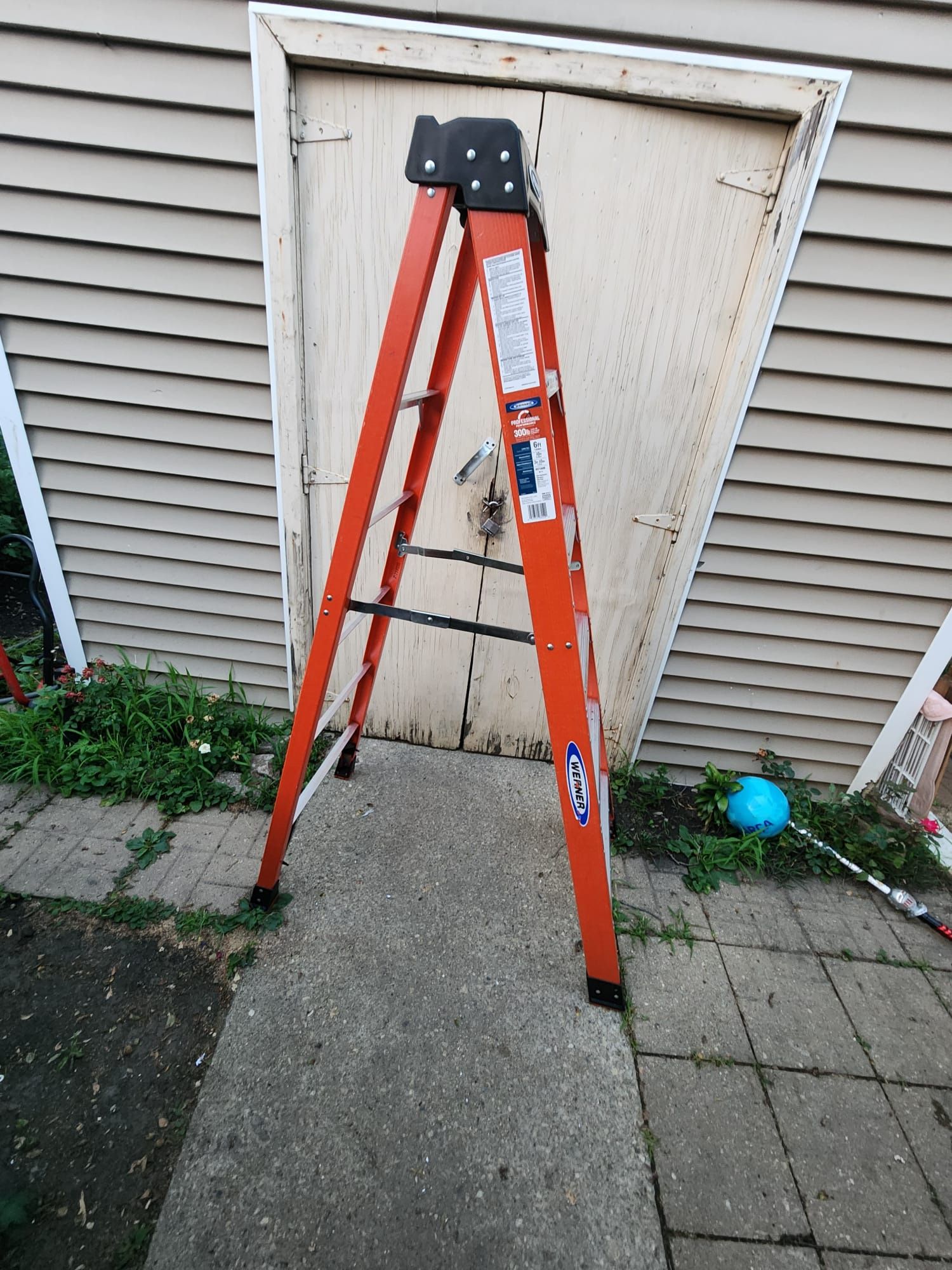 6 ft ladder
