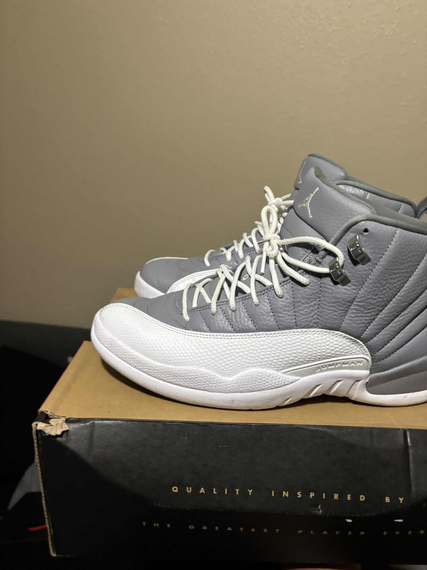Air Jordan 12 Stealth Size 12