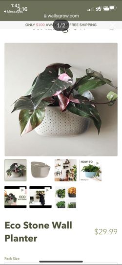 Wall planters
