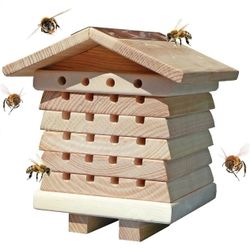 Brand New In Box Solitary Bee Hive 