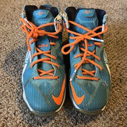 Nike GNM PRJ LRJ.330 Lebron James Shoes for Sale in Deer Park TX OfferUp