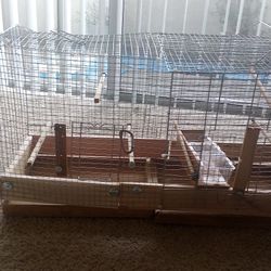 Bird Cage