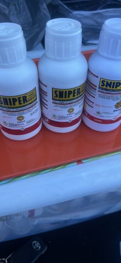 Remedy For Roaches And Bedbugs