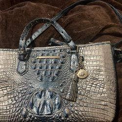 Brahmin Purse