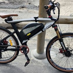 Eahora Brand 48v 750w Ebike With Upgrades