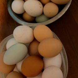   Organic Eggs