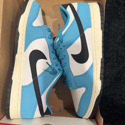 Next Nature Nike dunk 