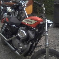 2004 Harley Davidson Sportster Roadster Xl1200 Orange And  White Very Fast 