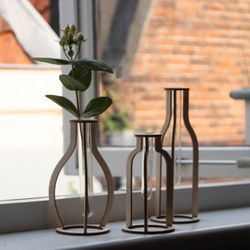 Propagation For Plants