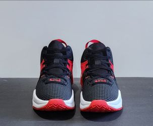Nike LeBron