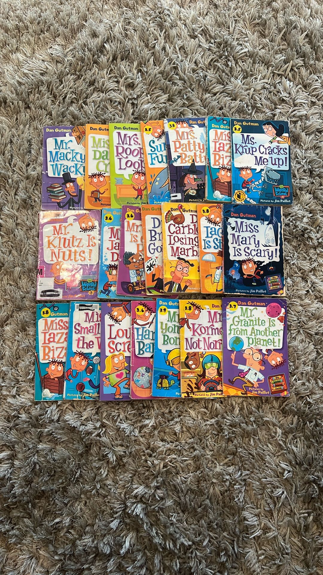 Lot Of 21 “My Weird School” Kids Books