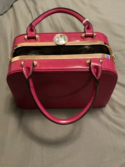 La terre Pink Patent Leather Frame Handbag