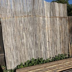 Bamboo Fence Rolls